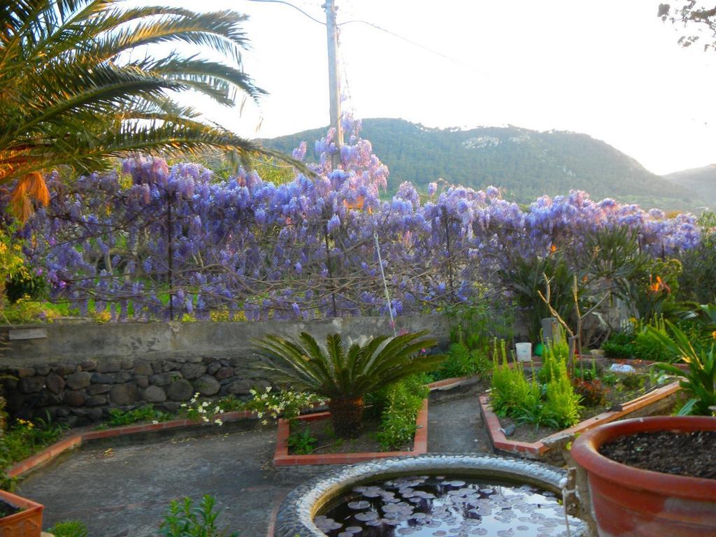 Isola di Ustica Case Vacanze La Cernia Bruna מראה חיצוני תמונה